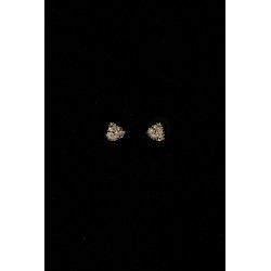 EARRINGS 'SPRUCE'