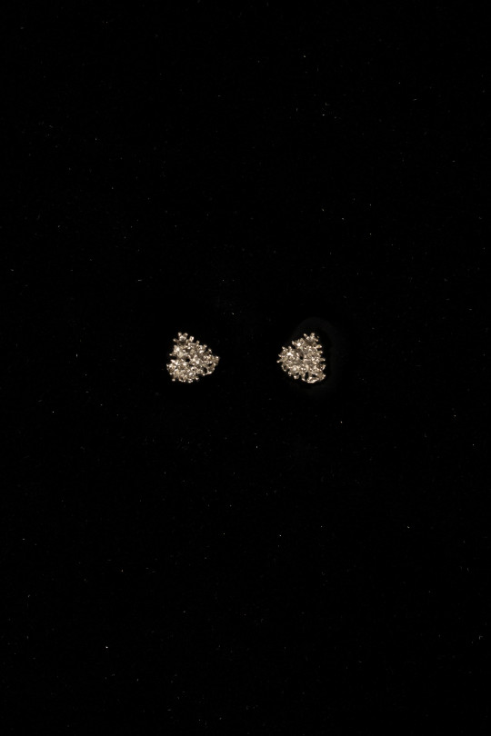 EARRINGS 'SPRUCE'