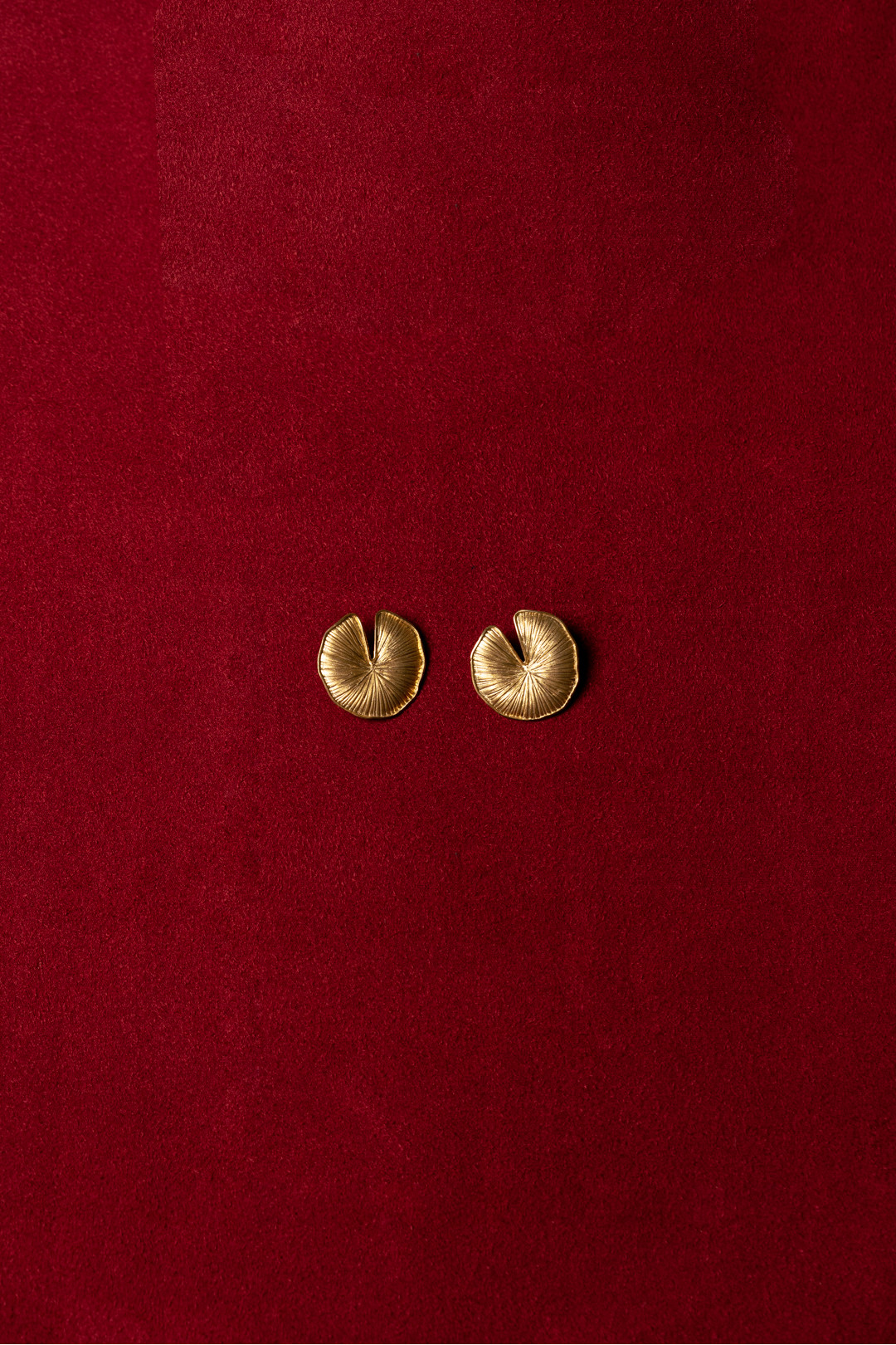 Earrings 'POLAR LIGHTS'